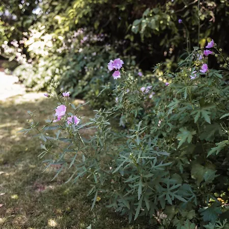 Another Day In Paradise Casa de Férias *